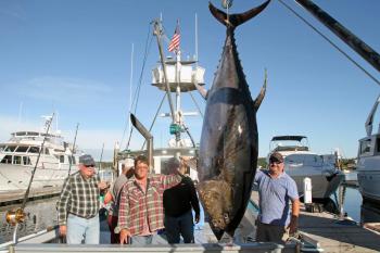 Rolling Stone, with captain Alan Dugas, landed a 914-pound tuna early Wednesday morning, the first day of the four-day tournament 