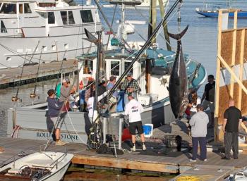 STEVE EDWARDS/Boothbay Register