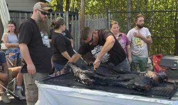 pig roast 