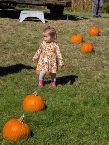 Harvesting Memories: BRVM Harvest Day 2026