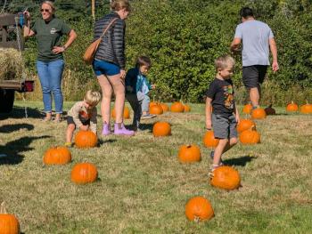 Harvesting Memories: BRVM Harvest Day 2026