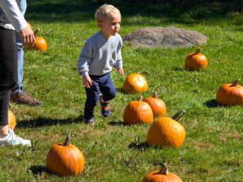 Harvesting Memories: BRVM Harvest Day 2026