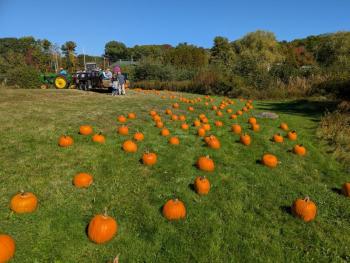Harvesting Memories: BRVM Harvest Day 2026