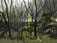 Bruce MacDonald