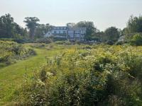 An example of good vegetative buffering in Boothbay, with a mix of plants, natural landscaping and serpentine paths. Courtesy of Rebecca Jacobs 