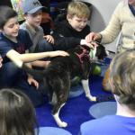 Archie the Puppy from Midcoast Humane Animal Shelter steals the show with BRES 3rd graders. ISABELLE CURTIS/Boothbay Register