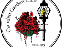 Custom image