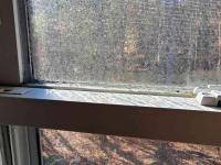 Moisture on Maine Window