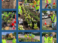 Summer is Officially in the Center of Camden 
