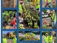 Gals with Trowel Dig in the Dirt to Transform the Traffic Island