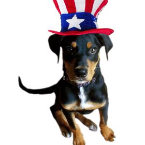 Buddha, a bluetick mix, is the Woofstock festival mascot and a graduate of the Lincoln County Animal Shelter. Courtesy of Dan Martin Buddha, a bluetick mix, is the Woofstock festival mascot. Courtesy of Dan Martin
