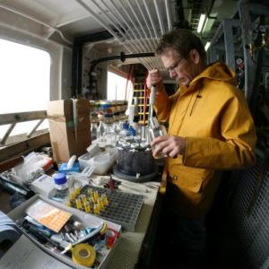 Dr. Steve Archer processes water samples on the Discovery, North Atlantic, summer 2011. Courtesy of Seb Hennige Dr. Steve Archer processes water samples on the Discovery, North Atlantic, summer 2011. Courtesy of Seb Hennige