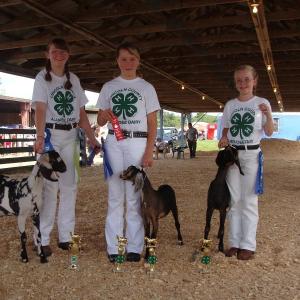 Soairca Bogard, Nicole, and Caitlyn Spear with goats.