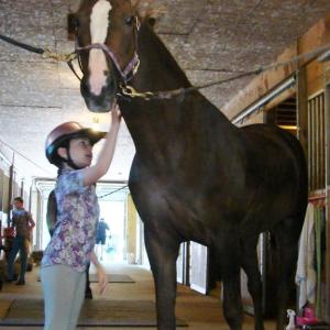 Caroline Cadorette grooms Ellie. SUSAN JOHNS/Wiscasset Newspaper