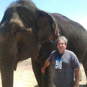 Hope elephants