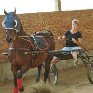 Joanne Lewis drives Patty as the two continue training for next month's show in Oklahoma. Below, Katie Yereance, left, stands with the farm's owner, Dawn Murphy. In the bottom photo, Caroline Cadorette grooms Ellie. SUSAN JOHNS/Wiscasset Newspaper Joanne Lewis drives Patty as the two continue training for next month's show in Oklahoma. SUSAN JOHNS/Wiscasset Newspaper