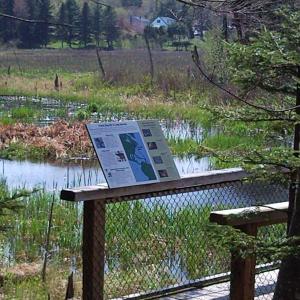 Penny Lake Reserve offers a 130-foot pedestrian bridge that spans the wetland and a scenic loop trail bisected by a handicap accessible path. Courtesy of the Boothbay Region Land Trust