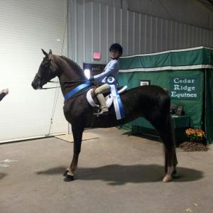 Caroline Cadorette and Ellie after their first win in the show, days before they became world champs and Cadorette became the youngest winner the show has ever had in that class. Courtesy of Meagan Cadorette. Caroline Cadorette and Ellie after their first win in the show, days before they became world champs and Cadorette became the youngest winner the show has ever had in that class. Courtesy of Meagan Cadorette.