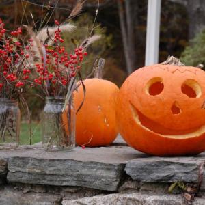 The autumn festival is planned for Friday, Oct. 12 from 5:30 to 8 p.m. Courtesy of Juniper Hill School The autumn festival is planned for Friday, Oct. 12 from 5:30 to 8 p.m. Courtesy of Juniper Hill School