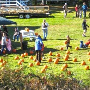 The Pumpkin Patch Express is happening at the Boothbay Railway Village Saturday, Oct. 13 and 20 from 11 a.m. to 2 p.m. Tickets are available at www.railwayvillage.org. The Pumpkin Patch Express is happening at the Boothbay Railway Village Saturday, Oct. 13 and 20 from 11 a.m. to 2 p.m. Tickets are available at www.railwayvillage.org.