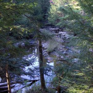 SVCA will open a new trail at the Trout Brook Preserve on Saturday at 10 a.m. Courtesy of Sheepscot Valley Conservation Association SVCA will open a new trail at the Trout Brook Preserve on Saturday at 10 a.m. Courtesy of Sheepscot Valley Conservation Association