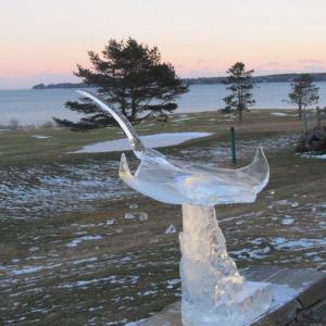 Pierce's Manta Ray ice carving, which won first place awards in Jackson, N.H. KAY STEPHENS/Pen Bay Pilot