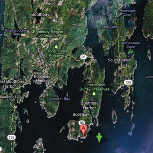 A Google Maps image of the epicenter's location, marked by a green arrow.