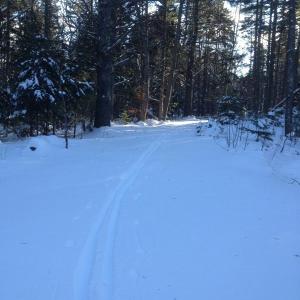 The School House Pond Trail on Barter's Island is a perfect spot for a quick winter ski. SUE MELLO/Boothbay Register The School House Pond Trail on Barter's Island is a perfect spot for a quick winter ski. SUE MELLO/Boothbay Register