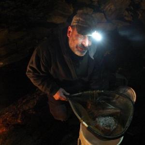 Dan Rizza of Newport displays one night's yield of elver eels caught at Mill Cove in Boothbay Harbor. One pound of elvers is currently worth $1,800. RYAN LEIGHTON/Boothbay Register