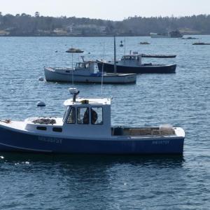 Several lobster boats bob in the calm water off the Fish Pier, while their owners wonder where the summer bait will come from. KATRINA CLARK/Boothbay Register