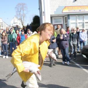 Codfish relay. KEVIN BURNHAM/Boothbay Register