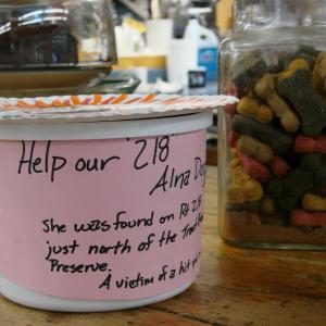 The Alna Store set up this donation canister for the injured dog. SUSAN JOHNS/Wiscasset Newspaper