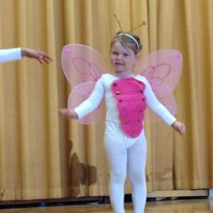 One of the little Butteflies. LISA KRISTOFF/Boothbay Register