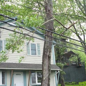 A tree branch snagged in the power lines caused power outages and closed Oak Street in Boothbay Harbor on June 11. RYAN LEIGHTON/Boothbay Register