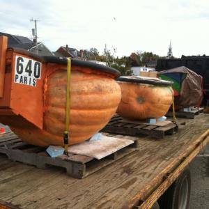 PUMPKINS in the backseat. KIPP WRIGHT/Boothbay Register