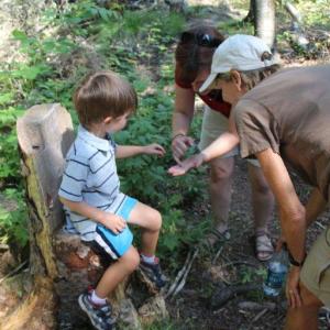 Nan Davison, BRLT Stewardship Campaign Chairman, learns about one of nature’s small wonders with her grandson Graydon on a recent Boothbay Region Land Trust hike at Ocean Point Preserve. BRLT environmental educator Tracey Hall leads a family hike at a land trust preserve the second Saturday of every month. Courtesy of Boothbay Region Land Trust Nan Davison, BRLT Stewardship Campaign Chairman, learns about one of nature’s small wonders with her grandson Graydon on a recent Boothbay Region Land Trust hike at Ocean Point Preserve. BRLT environmental educator Tracey Hall leads a family hike at a land trust preserve the second Saturday of every month. Courtesy of Boothbay Region Land Trust