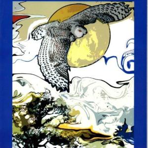 The flight of blue jay over a coastal town, drawn by Bob Rose, and digitally altered by June Rose in their new children's book, “Message of the Owl.”