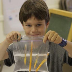 Benno Hennig shows his leak proof bag after learning about polymers. Below: Gracie Greene completes the egg walk successfully. Courtesy of Seeds of Knowledge Education Center Benno Hennig shows his leak proof bag after learning about polymers. Courtesy of Seeds of Knowledge Education Center