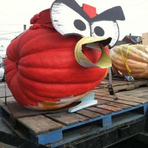 Angry Bird pumpkin from Damariscotta's 2012 Pumpkinfest. KIPP WRIGHT/Boothbay Register Angry Bird pumpkin from Damariscotta's 2012 Pumpkinfest. KIPP WRIGHT/Boothbay Register
