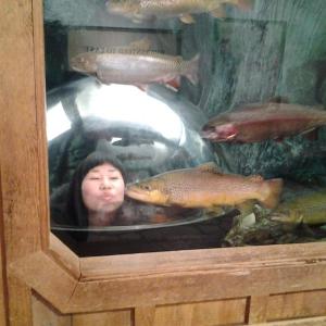 A visit to the famous salmon tank in L.L.Bean in Freeport. Courtesy of Greg Singer