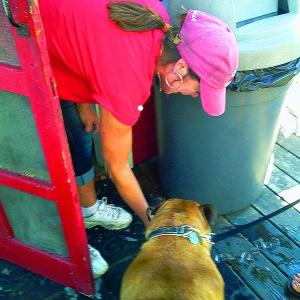 Debbie Gagnon has a soft spot for dogs. Here she provides water with ice to a dog on a hot day. SUZI THAYER/Wiscasset Newspaper