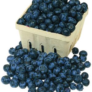 Blueberries Blueberries