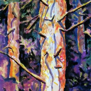 “Ode to Bowdoin Pines,” one in a new series by Jean Kigel running September 2 – 27, will be featured at Gallery Framing in Brunswick during the town's art walk. “Ode to Bowdoin Pines,” one in a new series by Jean Kigel running September 2 – 27, will be featured at Gallery Framing in Brunswick during the town's art walk.