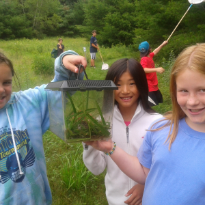 Courtesy of Boothbay Region Land Trust Courtesy of Boothbay Region Land Trust
