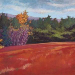 Tamarack Dance, soft pastel on paper by Sally Loughridge.