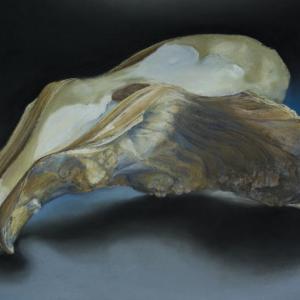 Oyster Shell, the J.A. Clark, PEI, CA, by Carol Abitabilo Ast