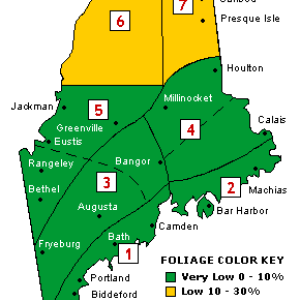 Current foliage conditions in the state. Courtesy of www.mainefoliage.com