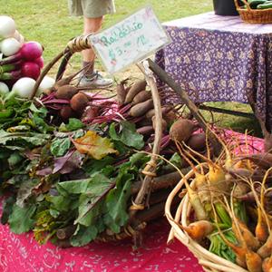 Some of the fresh local vegetables at the Boothbay Farmers Market. SUZI THAYER/Boothbay Register
