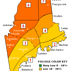 Maine Foliage Map. Courtesy of Maine.gov Maine Foliage Map. Courtesy of Maine.gov