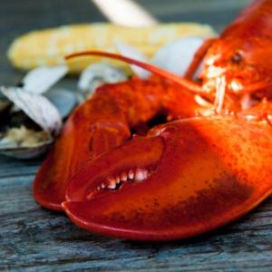 Want lobster? Get your tickets today for the second annual Claw Down on September 19. Courtesy of Ted Axelrod